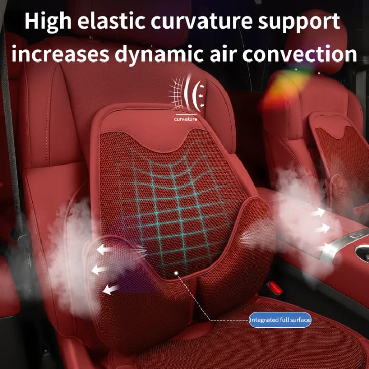 ركاية ظهر قطعتين طبي