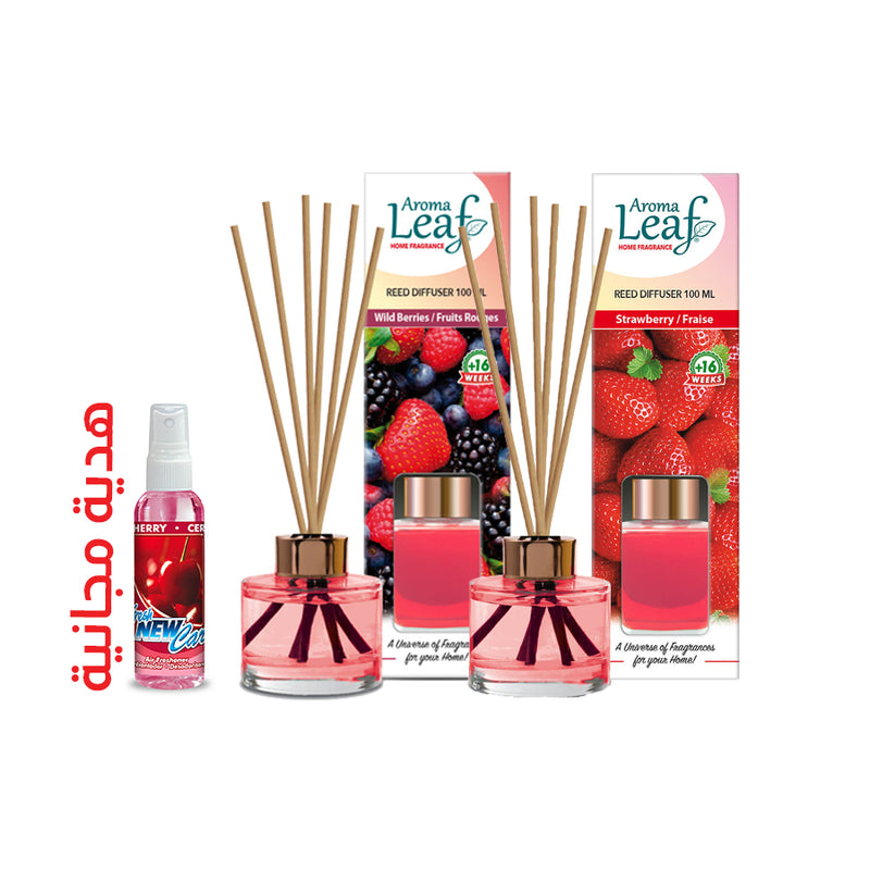 LD Aroma Leaf Home Perfume Sticks 100ml (2PCs) + Gift (LD Perfume Spray) 